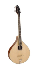 Richwood Heritage Series Irish mandola with solid spruce top RIMA-40