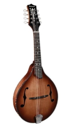 Richwood Heritage Series A-style mandolin with solid maple body & solid spruce top RMA-90-NT