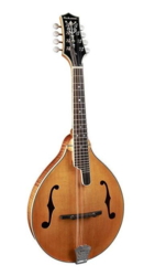 Richwood Heritage Series A-style mandolin with solid flamed maple body & solid spruce top RMA-110-VS