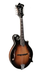 Richwood Heritage Series F-style mandolin RMF-100-VS