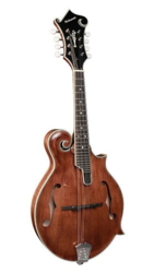 Richwood Heritage Series F-style mandolin RMF-220-WN
