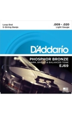 D'Addario Fretted EJ69 Loop End 5-string Gauge 09-20 Phosphor Bronze