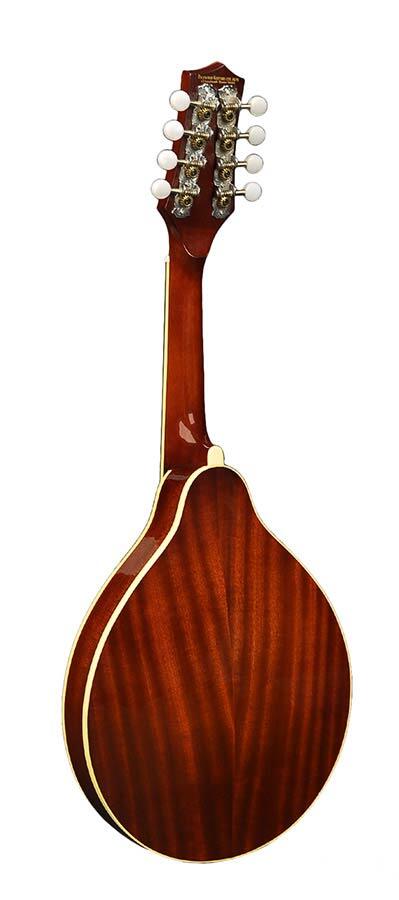 Richwood Heritage Series A-style mandolin with spruce top - RMA-60-VS