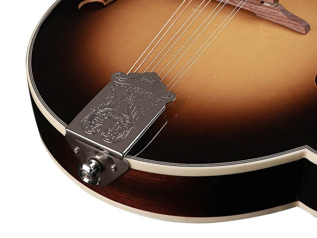 Richwood Heritage Series F-style mandolin with spruce top RMF-60-VS