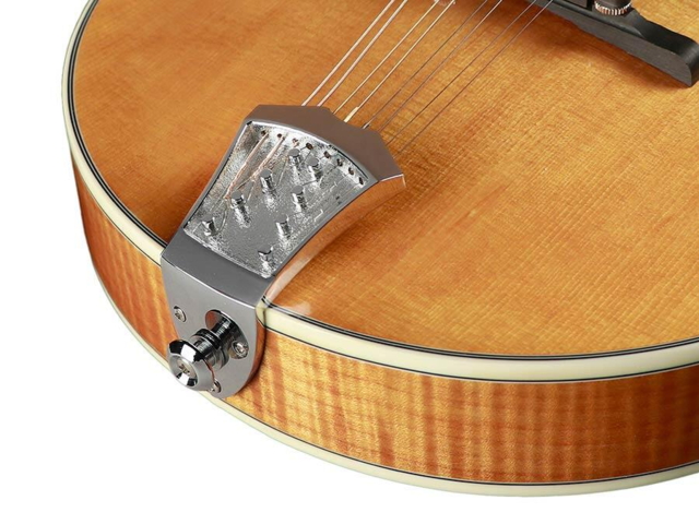 Richwood Heritage Series A-style mandolin with solid flamed maple body & solid spruce top RMA-110-VS