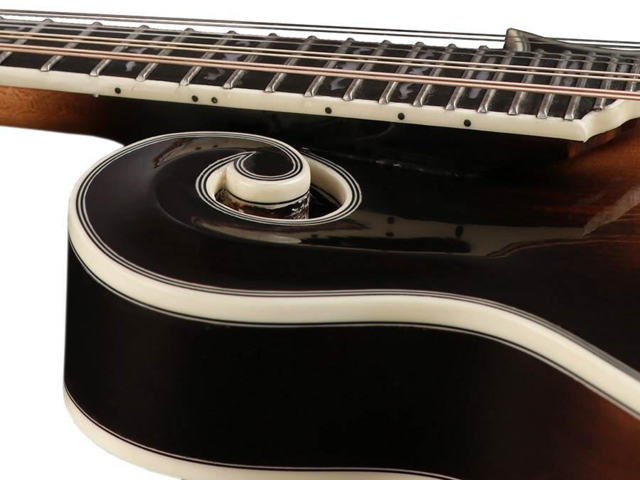 Richwood Heritage Series F-style mandolin RMF-100-VS