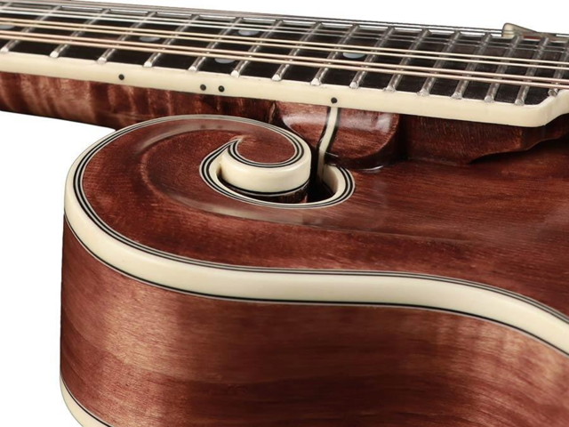 Richwood Heritage Series F-style mandolin RMF-220-WN