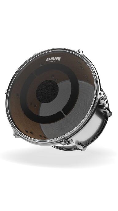 Evans - TT14DB1 - 14" Tam Slagskind