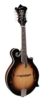 Richwood Heritage Series F-style mandolin with spruce top RMF-60-VS