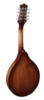 Richwood Heritage Series A-style mandolin with solid maple body & solid spruce top RMA-90-NT