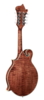 Richwood Heritage Series F-style mandolin RMF-220-WN