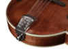 Richwood Heritage Series F-style mandolin RMF-220-WN