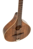 GEWA Irish Bouzouki Pro Arte Antique