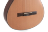 GEWA Classical guitar Student Cedar