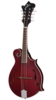 Epiphone - F-5 Studio Wine Red Satin