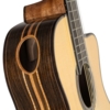 ORTEGA GRANDSUITE-CE - 4/4 Size, w/mic, Soundhole, Armrest