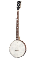 Epiphone - Mastertone Bowtie Open Back Banjo Natural