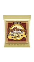 Ernie Ball Earthwood 80/20 Bronze Medium 13-56.