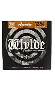 Zakk Wylde - Dunlop Phosphor Bronze 12-54